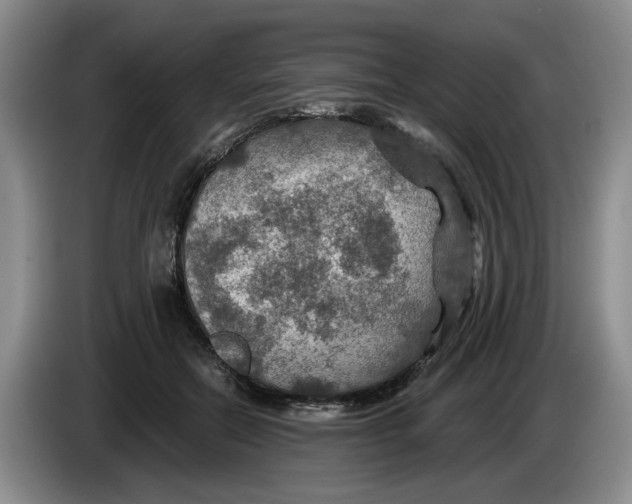 X0000084030554200703092012