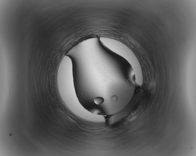 X0000084030558200703092012