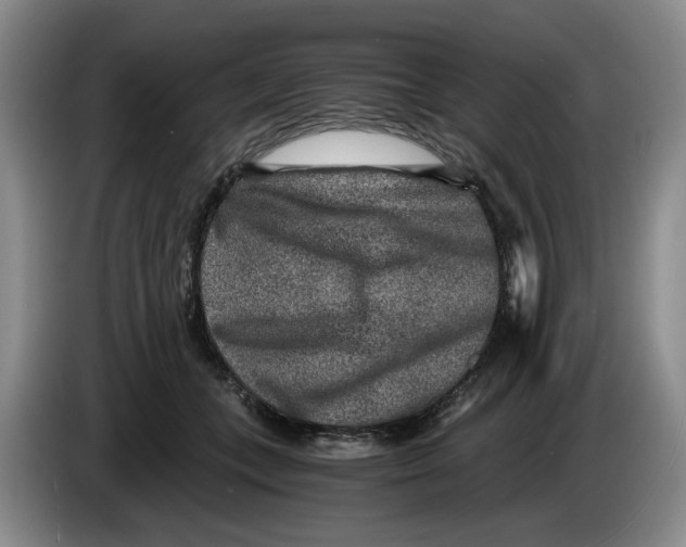 X0000084030559200703092012