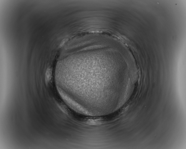 X0000084030560200703092012