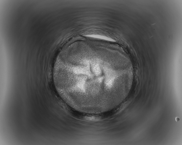 X0000084030561200703092012