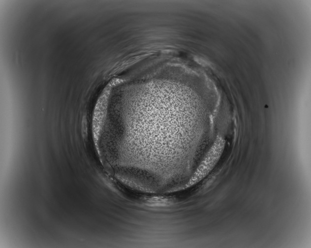 X0000084030562200703092012