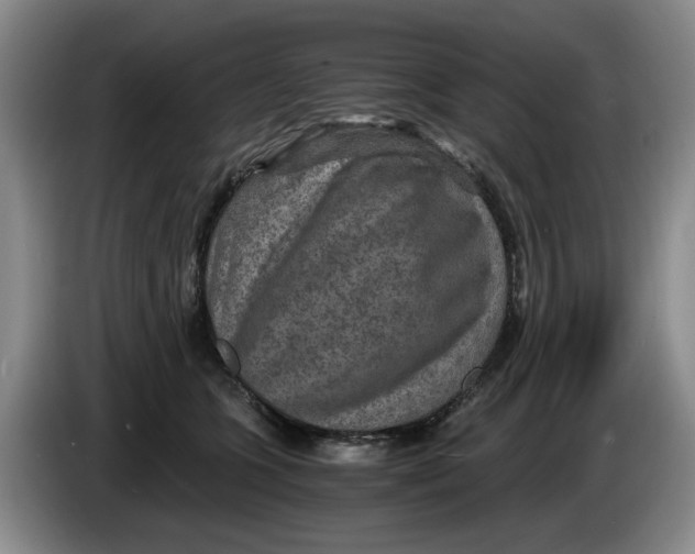 X0000084030563200703092012