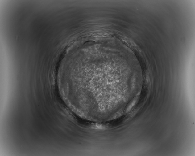 X0000084030565200703092012