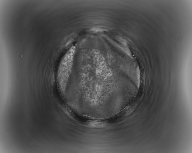 X0000084030568200703092012