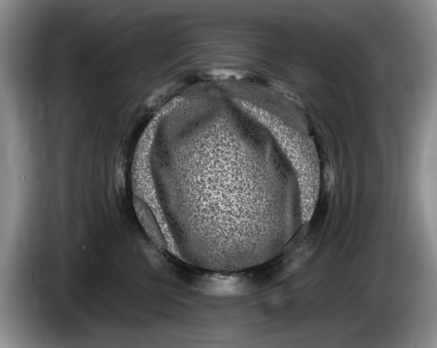 X0000084030570200703092013