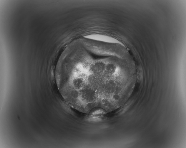 X0000084030573200703092013