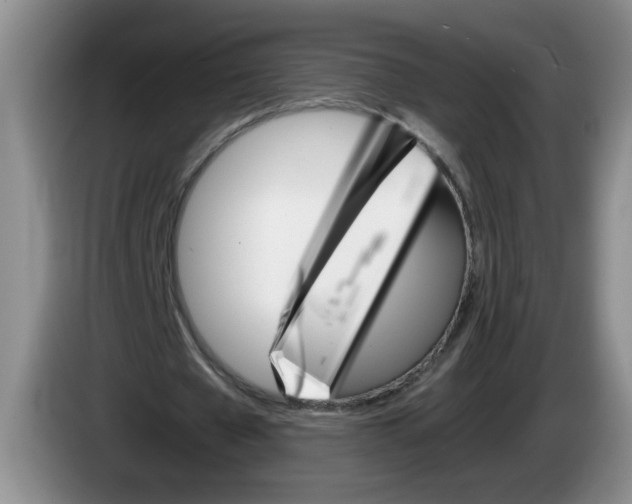 X0000084030577200703092012