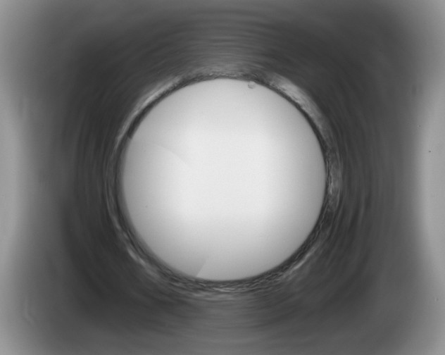 X0000084030578200703092012