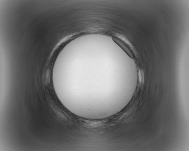 X0000084030579200703092012