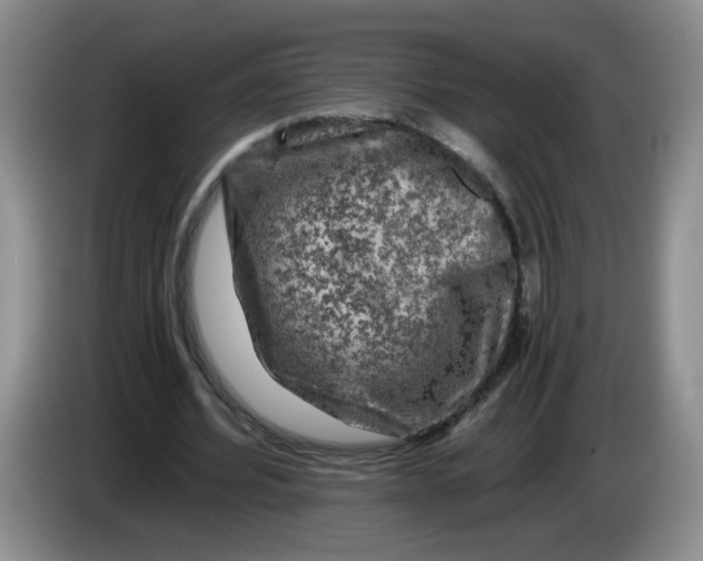 X0000084030580200703092012