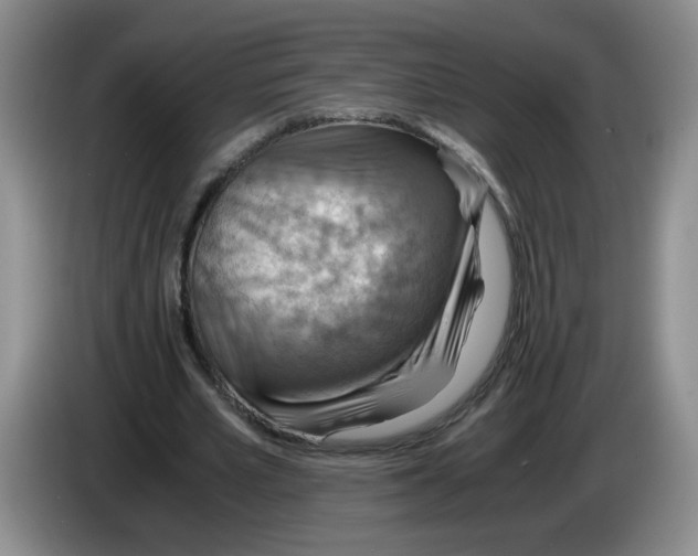 X0000084030581200703092012