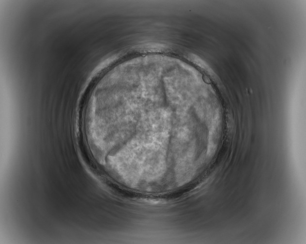 X0000084030582200703092012