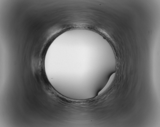 X0000084030583200703092012