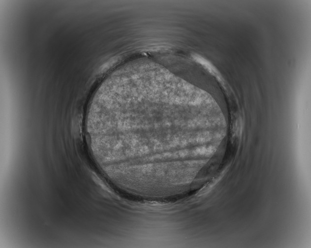 X0000084030585200703092012