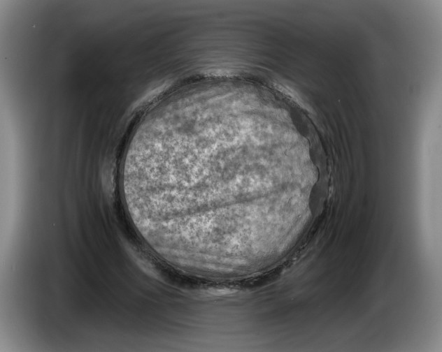 X0000084030586200703092012