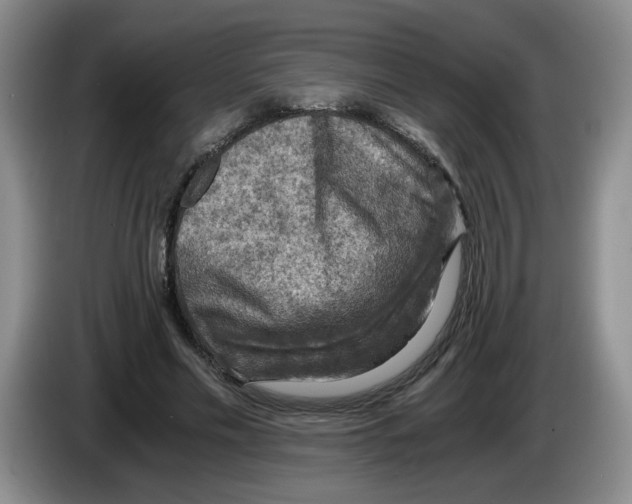 X0000084030589200703092012