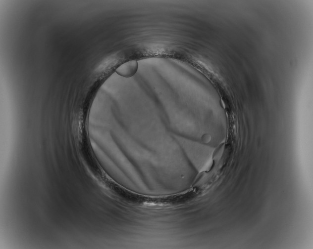 X0000084030590200703092012