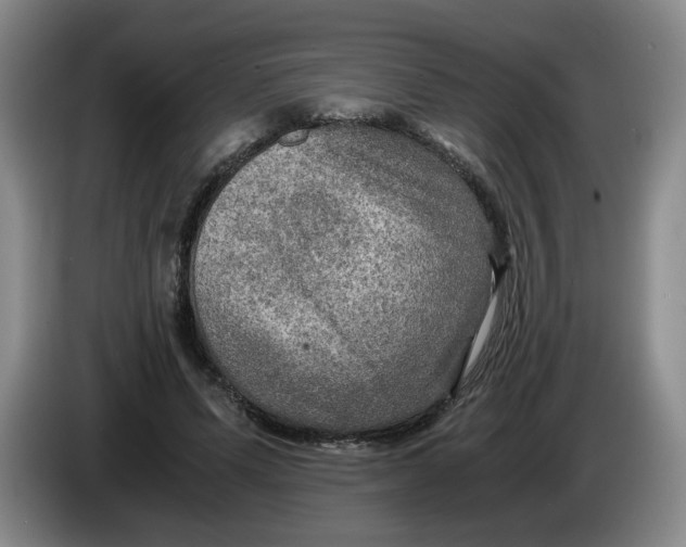 X0000084030591200703092012