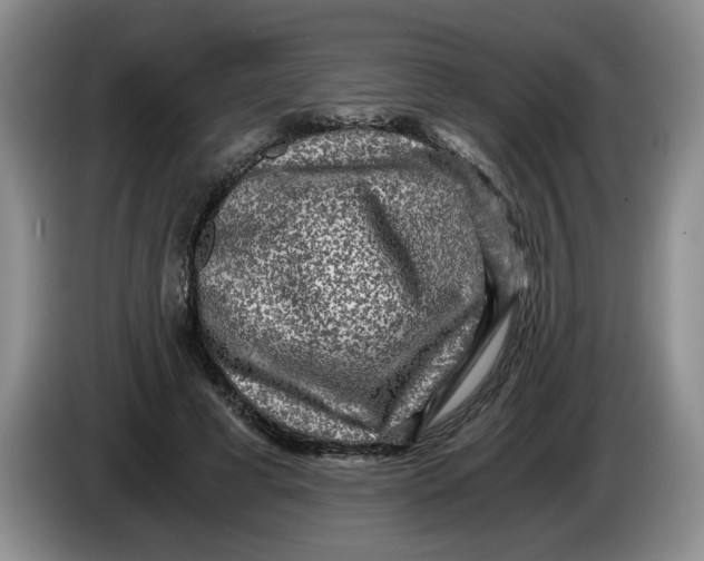 X0000084030593200703092012