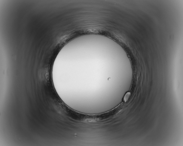 X0000084030595200703092012