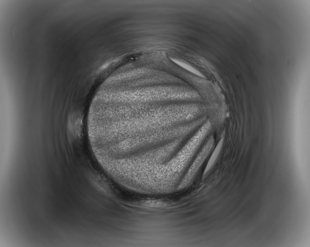 X0000084030596200703092012