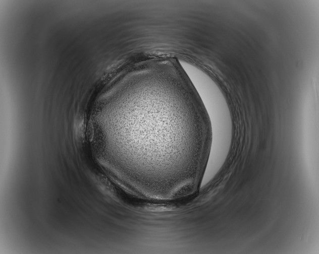 X0000084030597200703092012