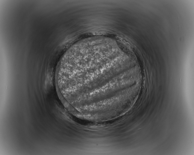 X0000084030604200703092012