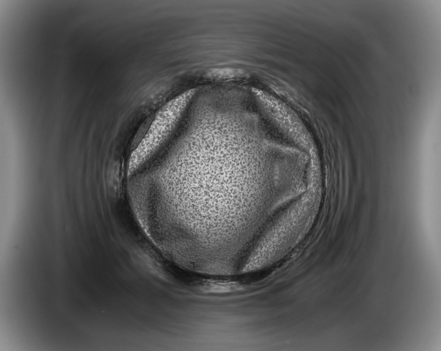 X0000084030605200703092012