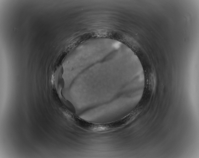 X0000084030610200703092011