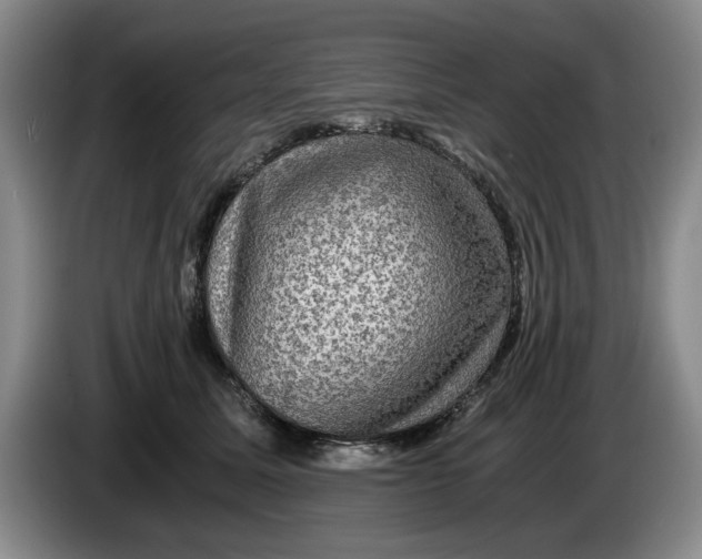 X0000084030611200703092011