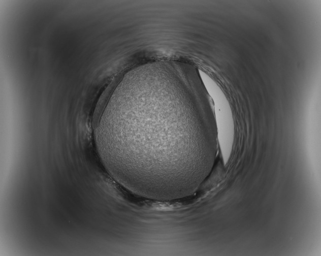 X0000084030613200703092011