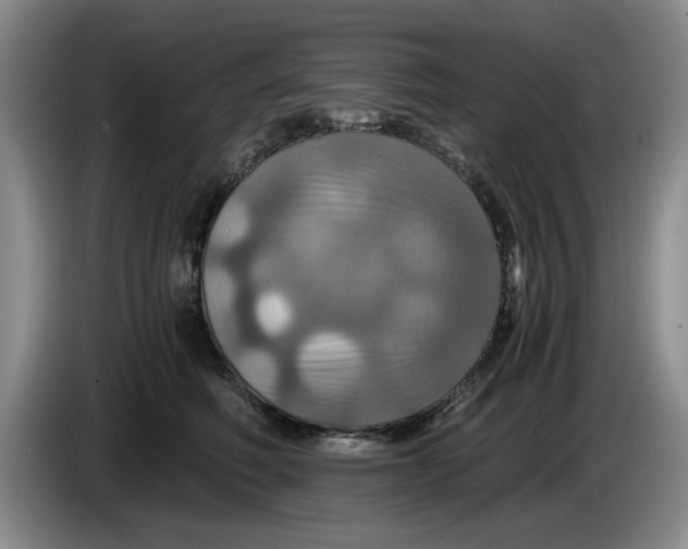 X0000084030614200703092011