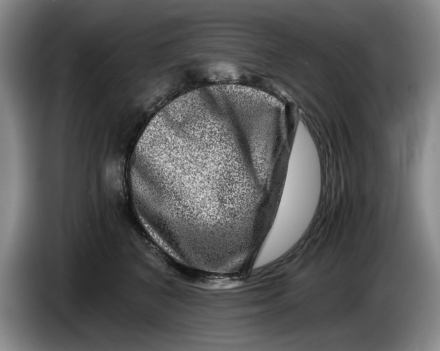 X0000084030616200703092011