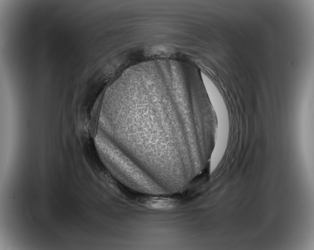 X0000084030617200703092011