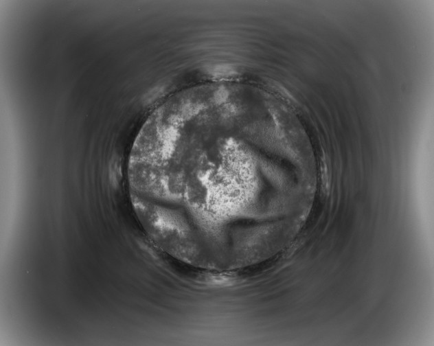 X0000084030618200703092011