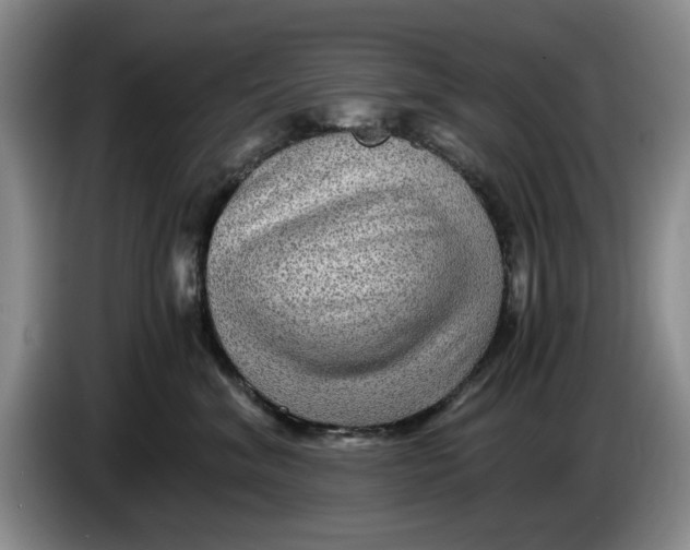 X0000084030620200703092011