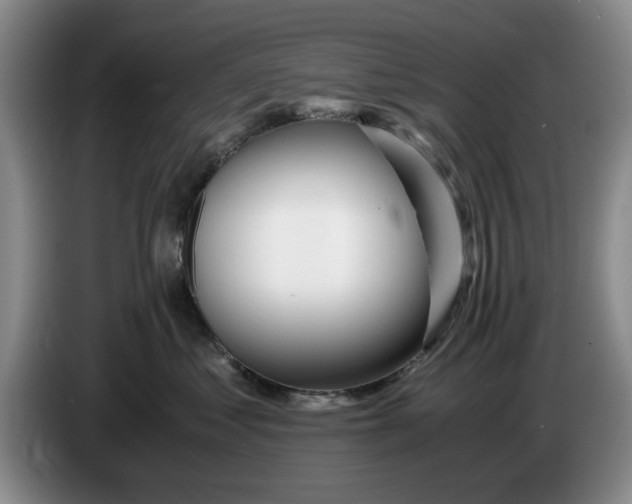 X0000084030621200703092011