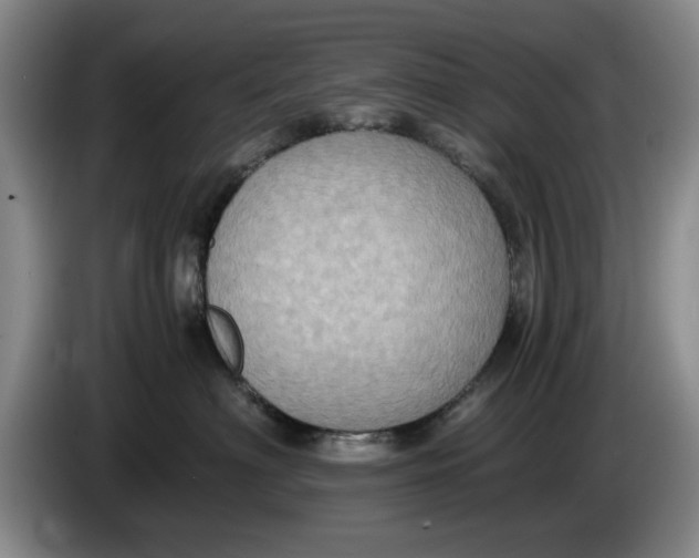 X0000084030622200703092011