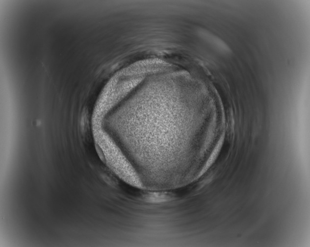 X0000084030623200703092011