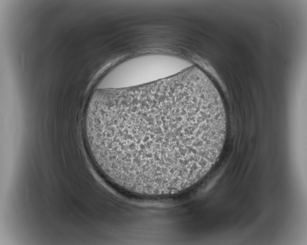 X0000084030625200703092011