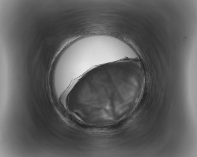 X0000084030626200703092011