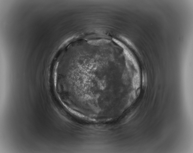 X0000084030627200703092011