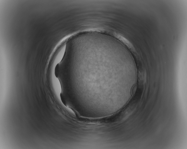 X0000084030628200703092011