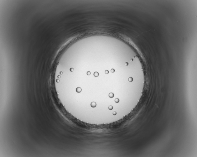 X0000084030629200703092011