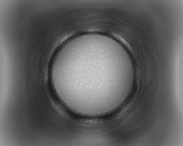 X0000084030631200703092011