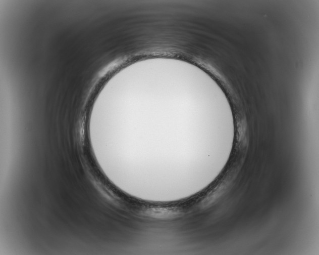 X0000084030632200703092011