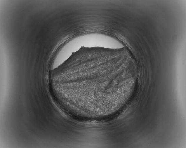 X0000084030634200703092011