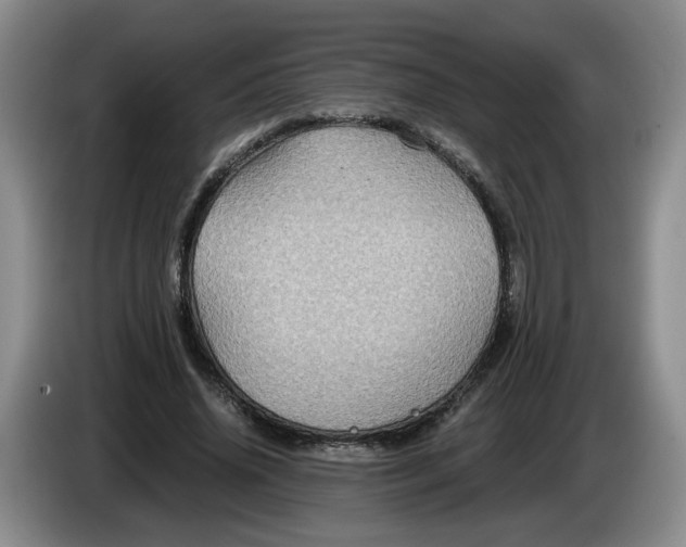 X0000084030636200703092011