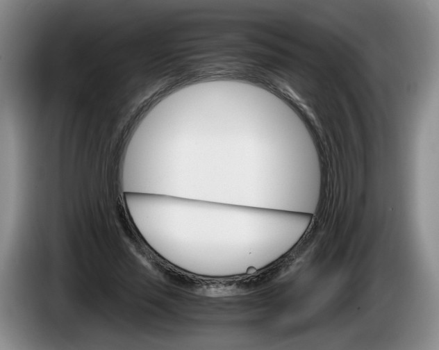 X0000084030637200703092011